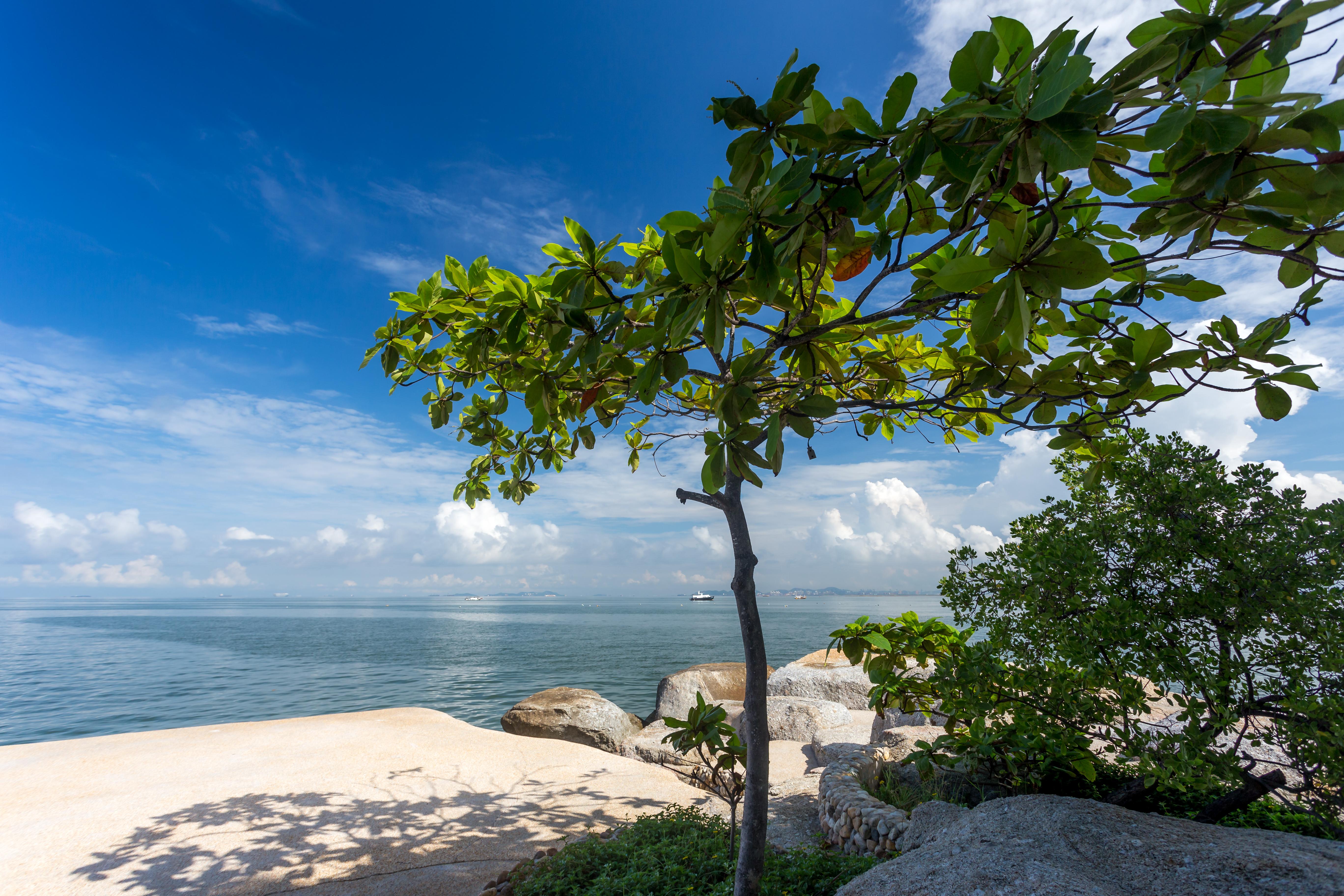 Garden Sea View 5*