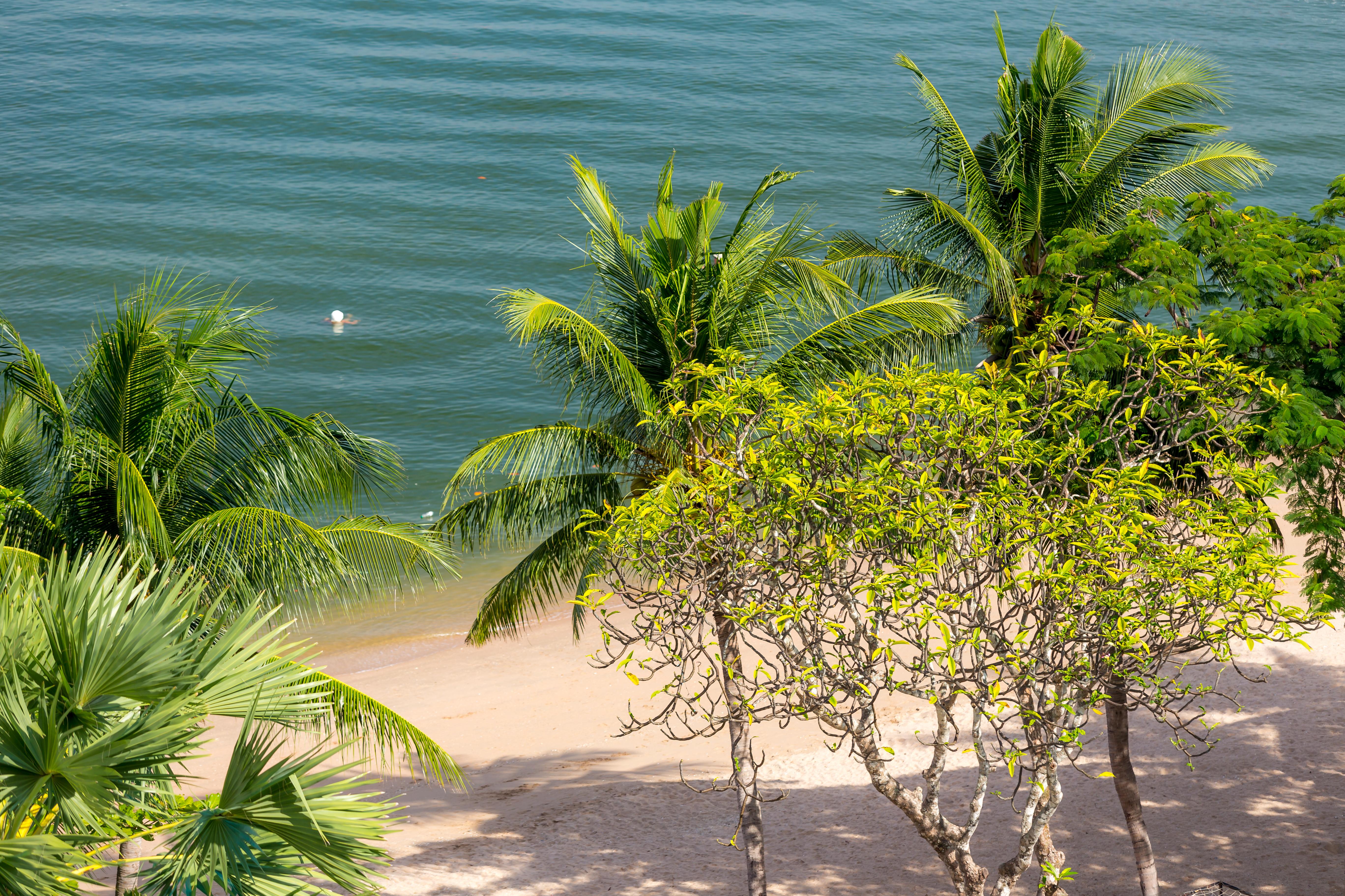 Garden Sea View Resort 5*