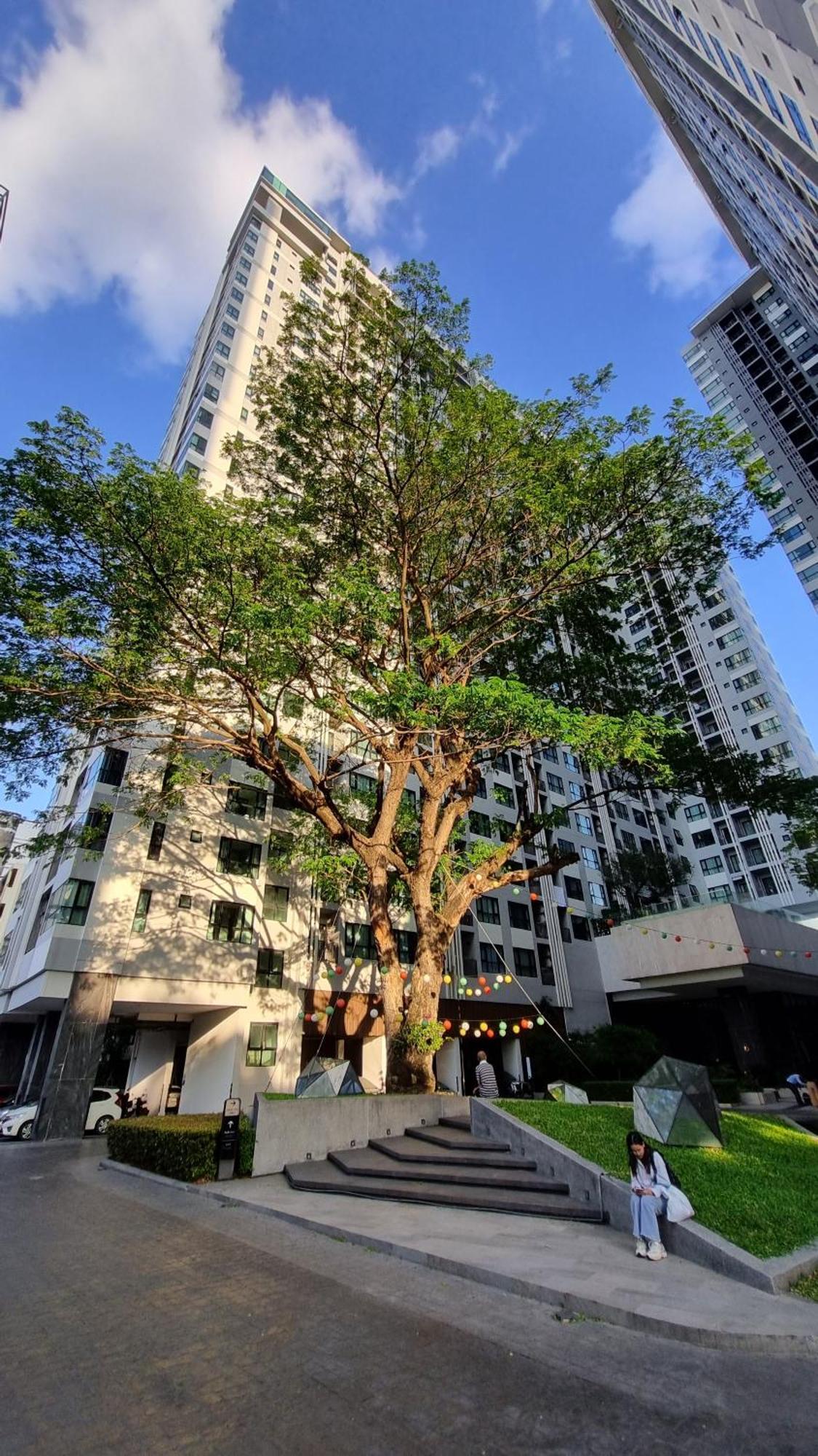 The Base Location * Pattaya