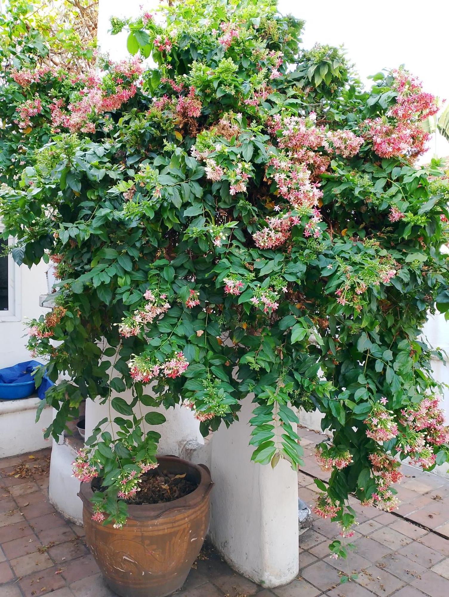 Luxury Private Pool 5 Min From Walking Street And Beaches *