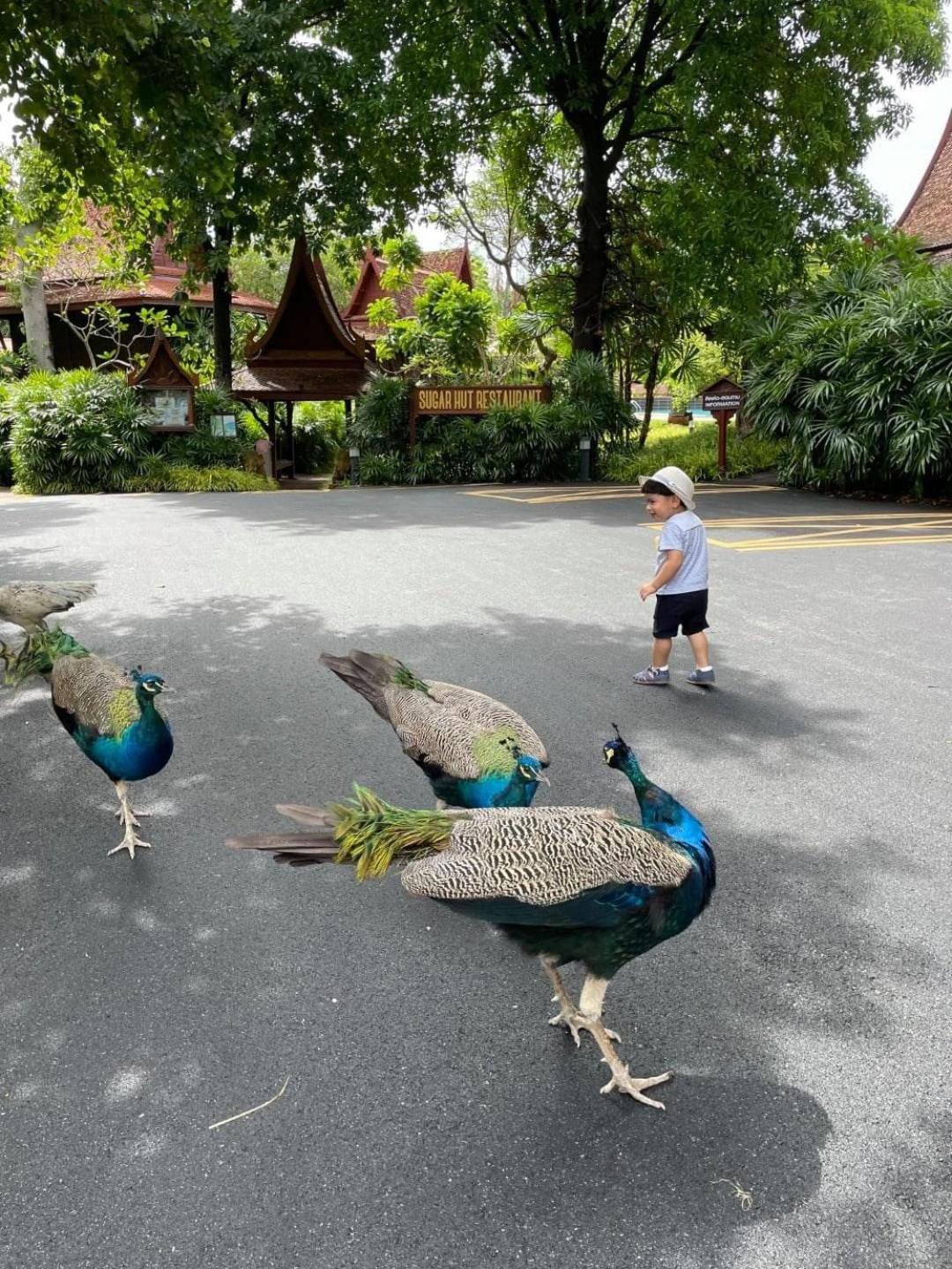 Resort Sugar Hut & Restaurant Pattaya