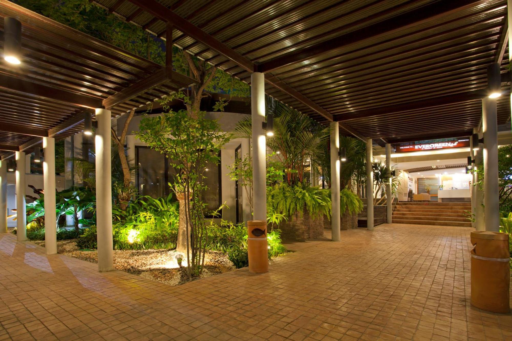 Areca