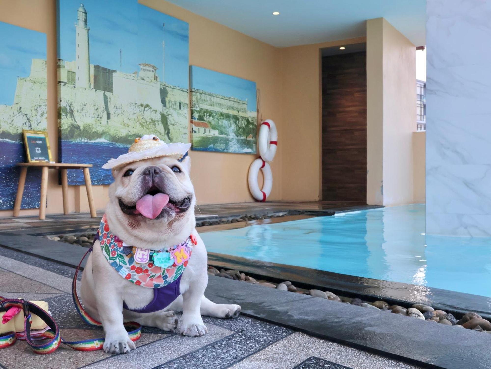 Hotel The Quba Boutique