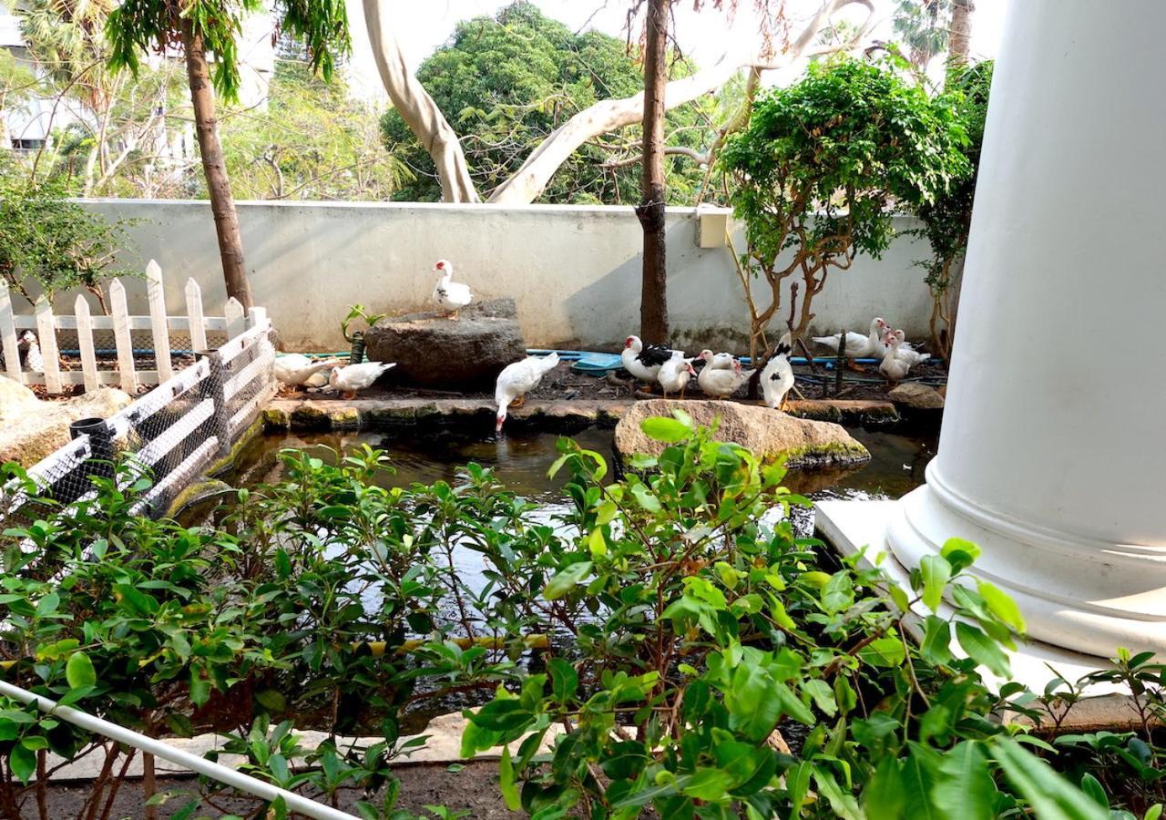 Spacious Seaview 3br Apartment:direct Access Apartment