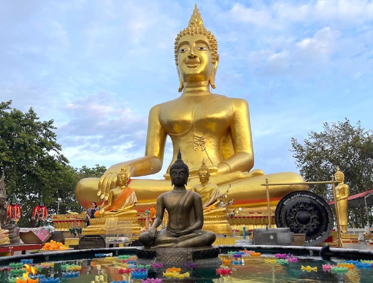 Apartment Furnished Near The