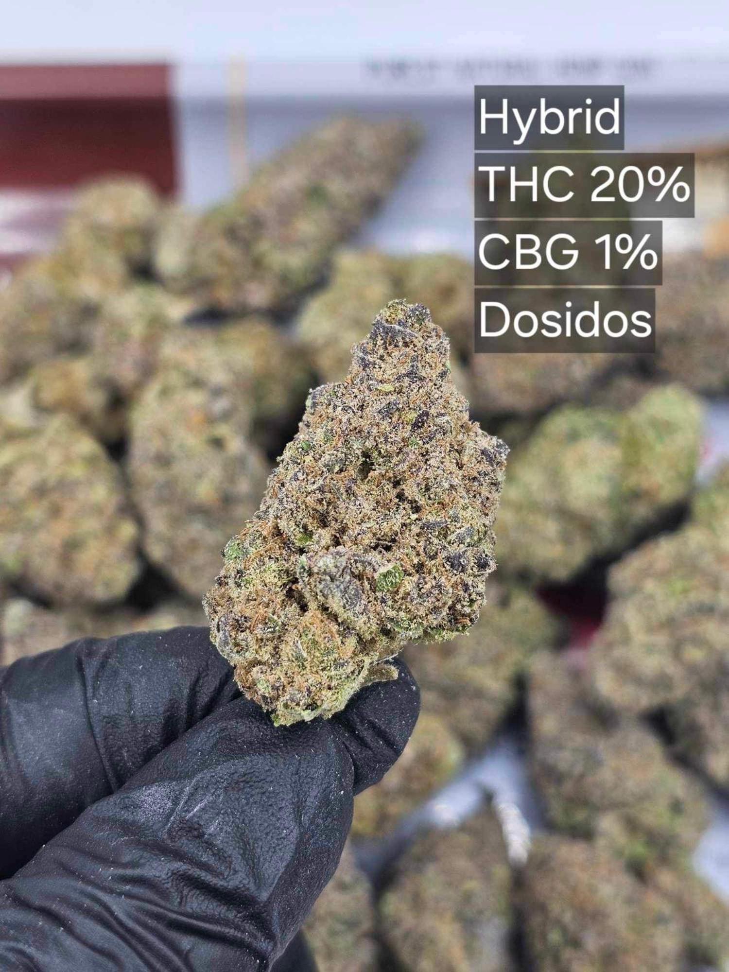 Happiness Community Wake & Bake - Rooftop Bar & Bistro