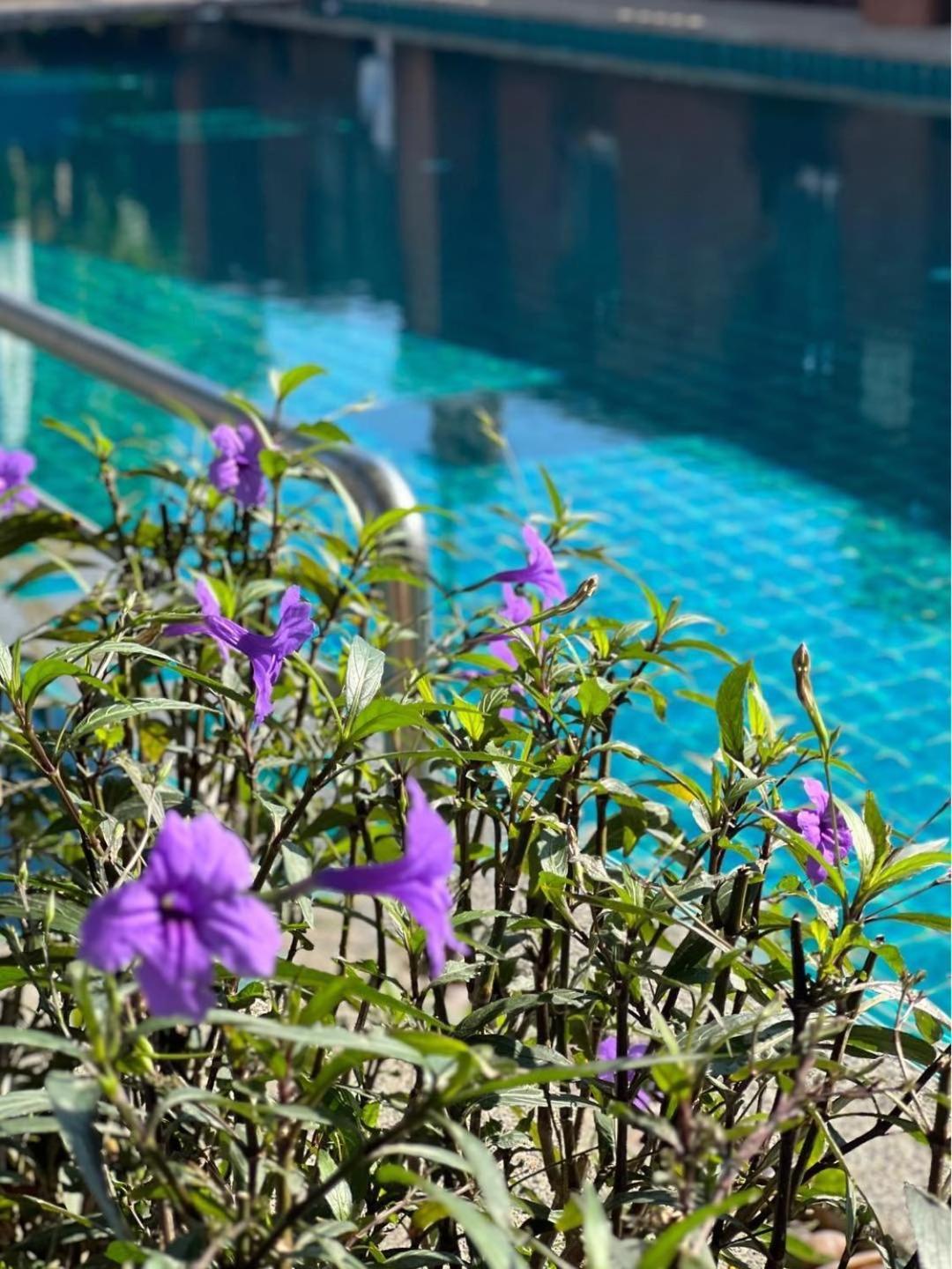 โรงแรม Pattara Mansion พัทยา Pattaya