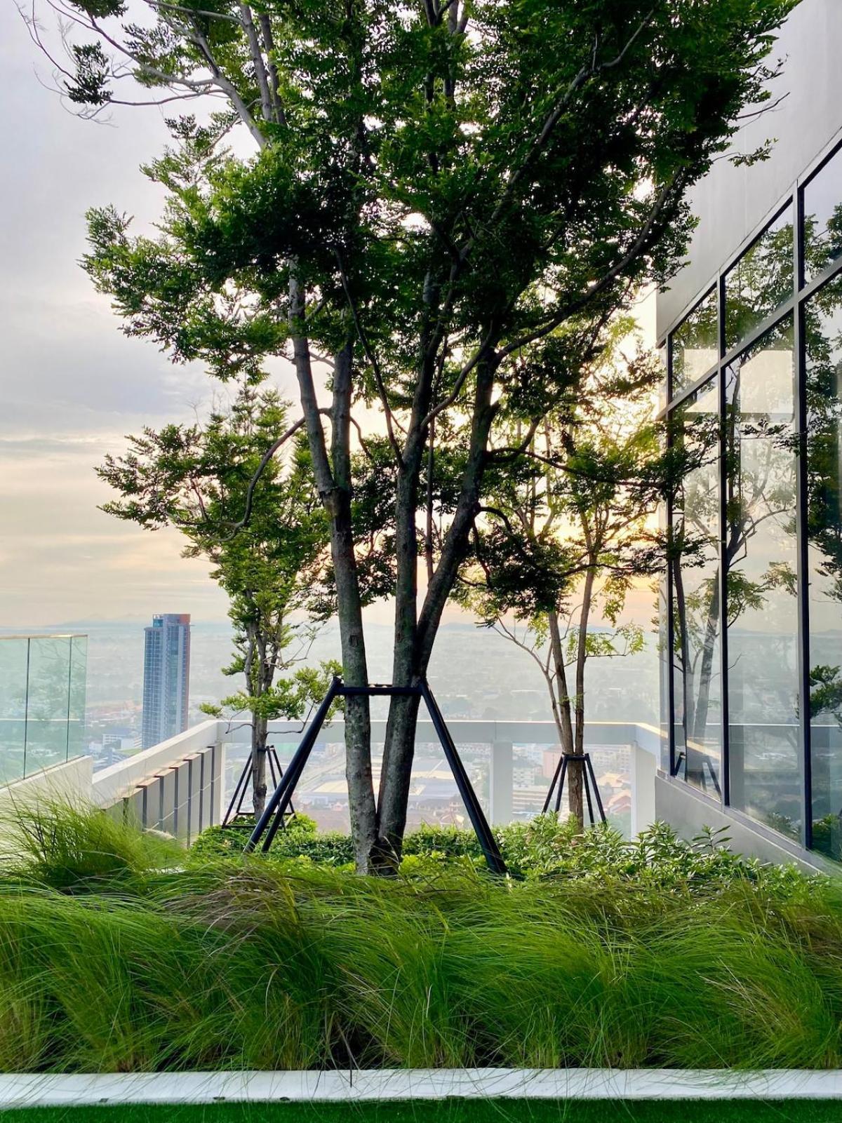 Cove Panorama Pool View Apartment *