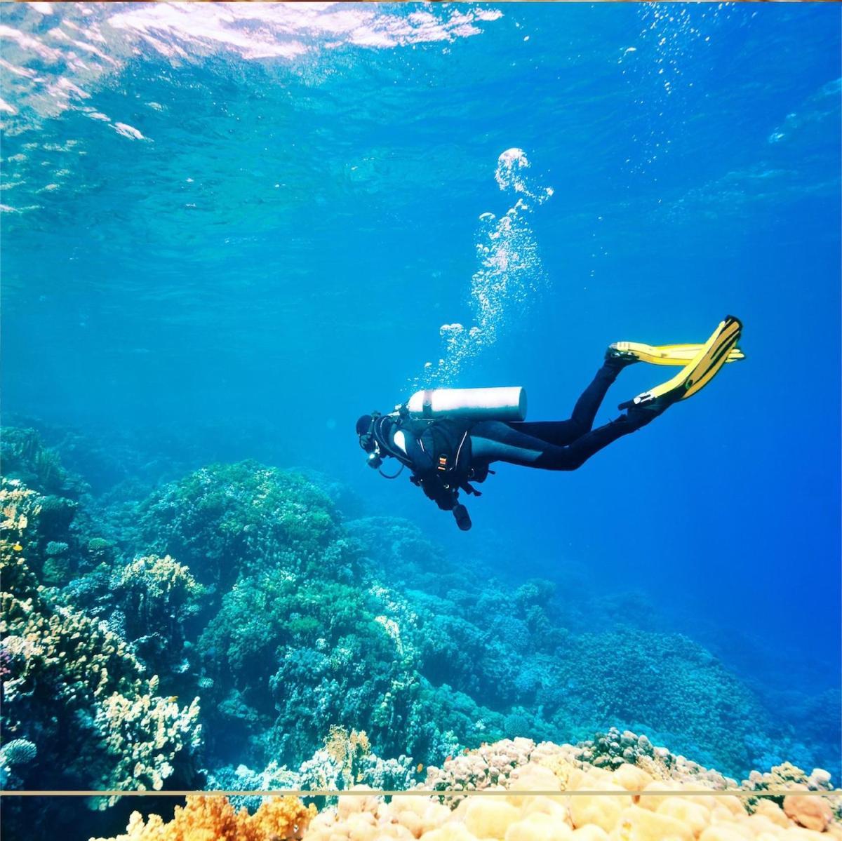 Sea View At The Front - Breathtaking View *