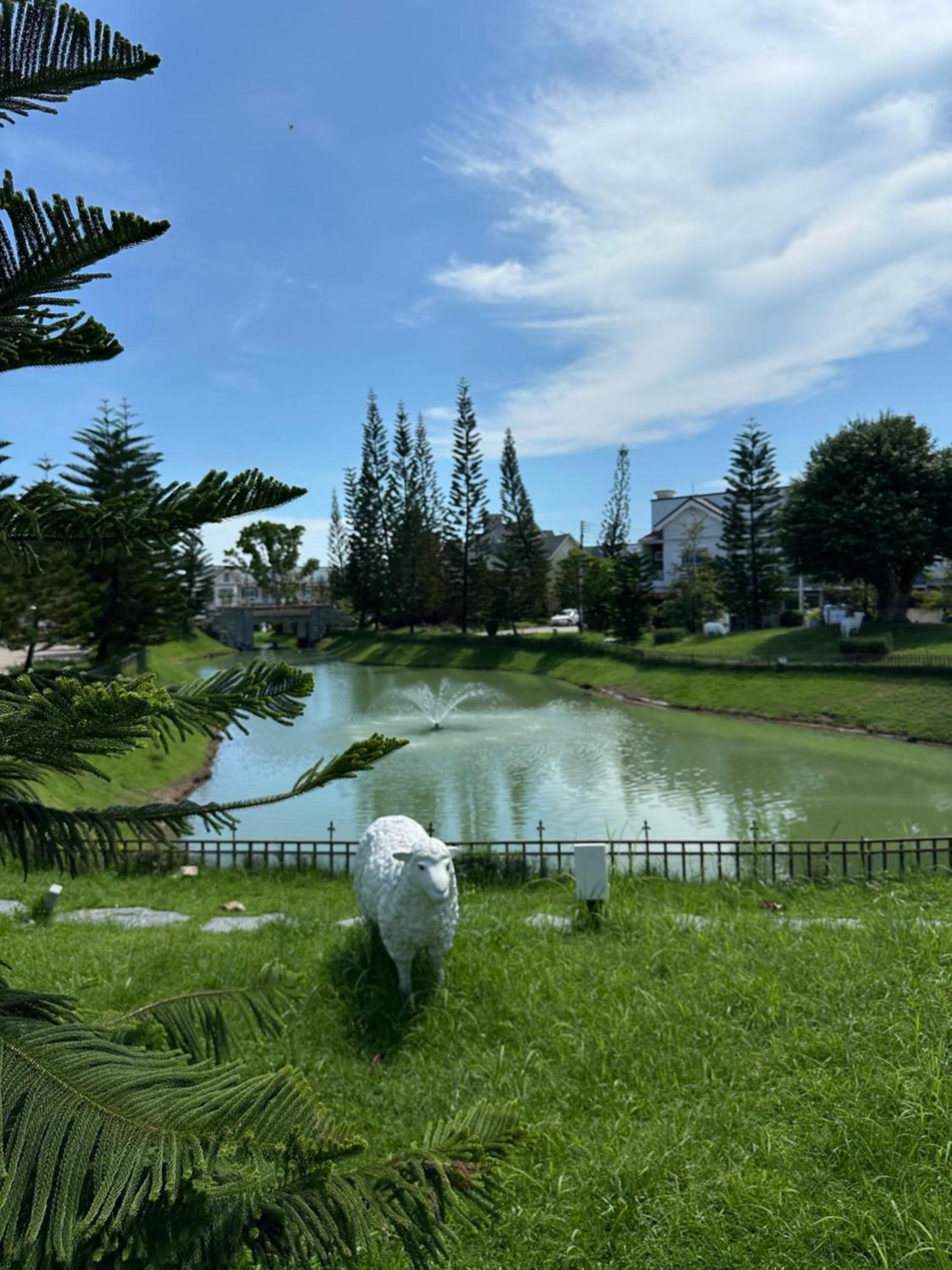 дом в Bristol Park *