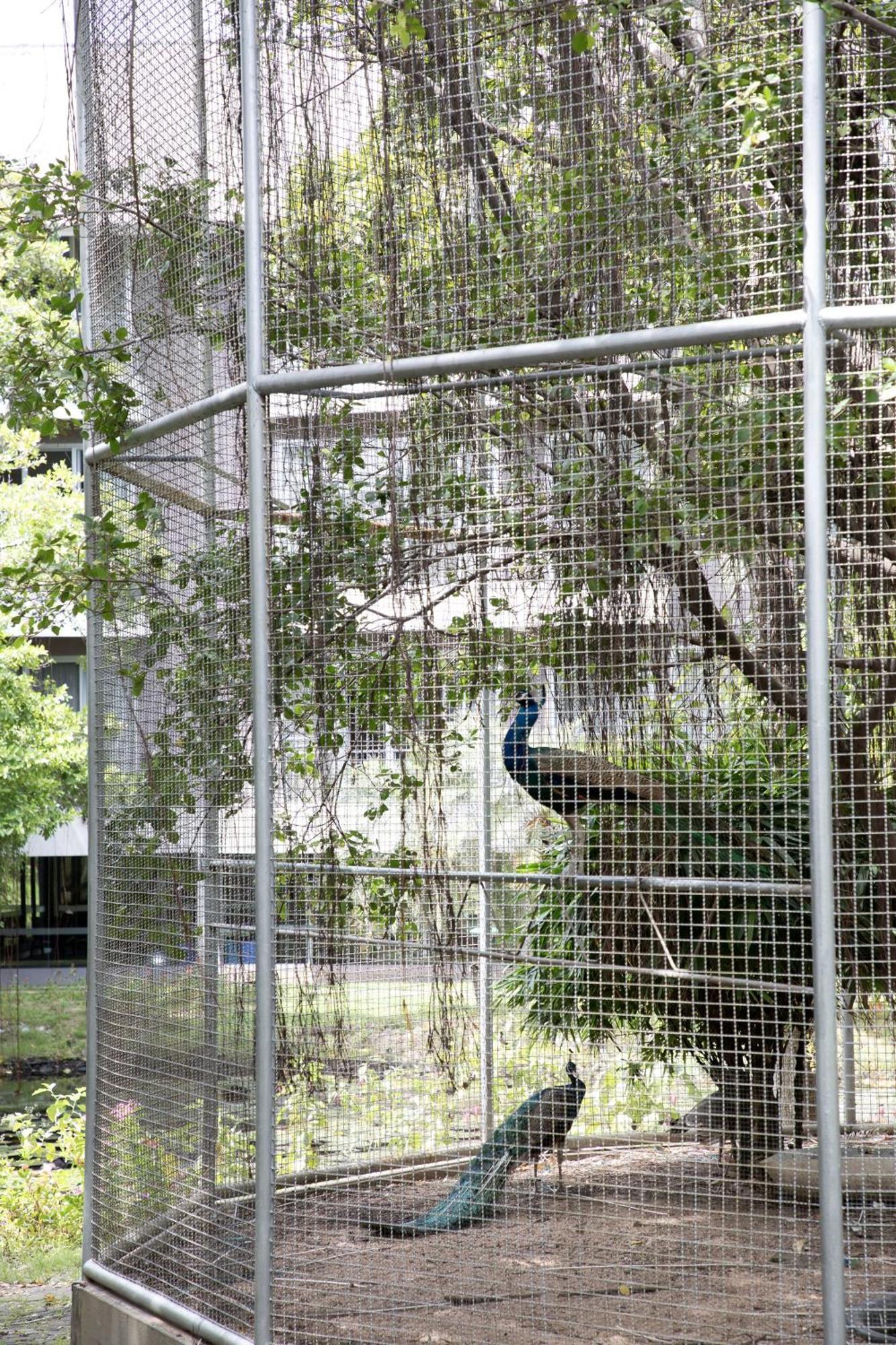 The Leela & Hotel Pattaya