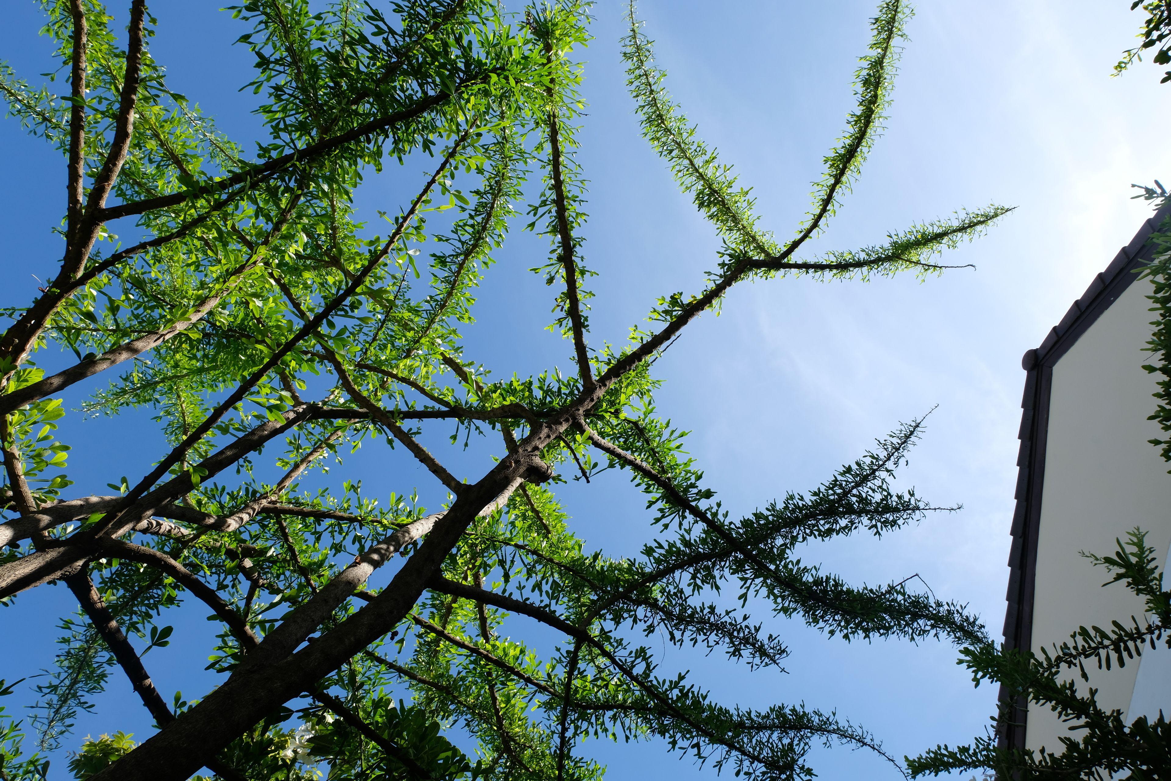 Golden Sea - Sha Extra Hotel 4*