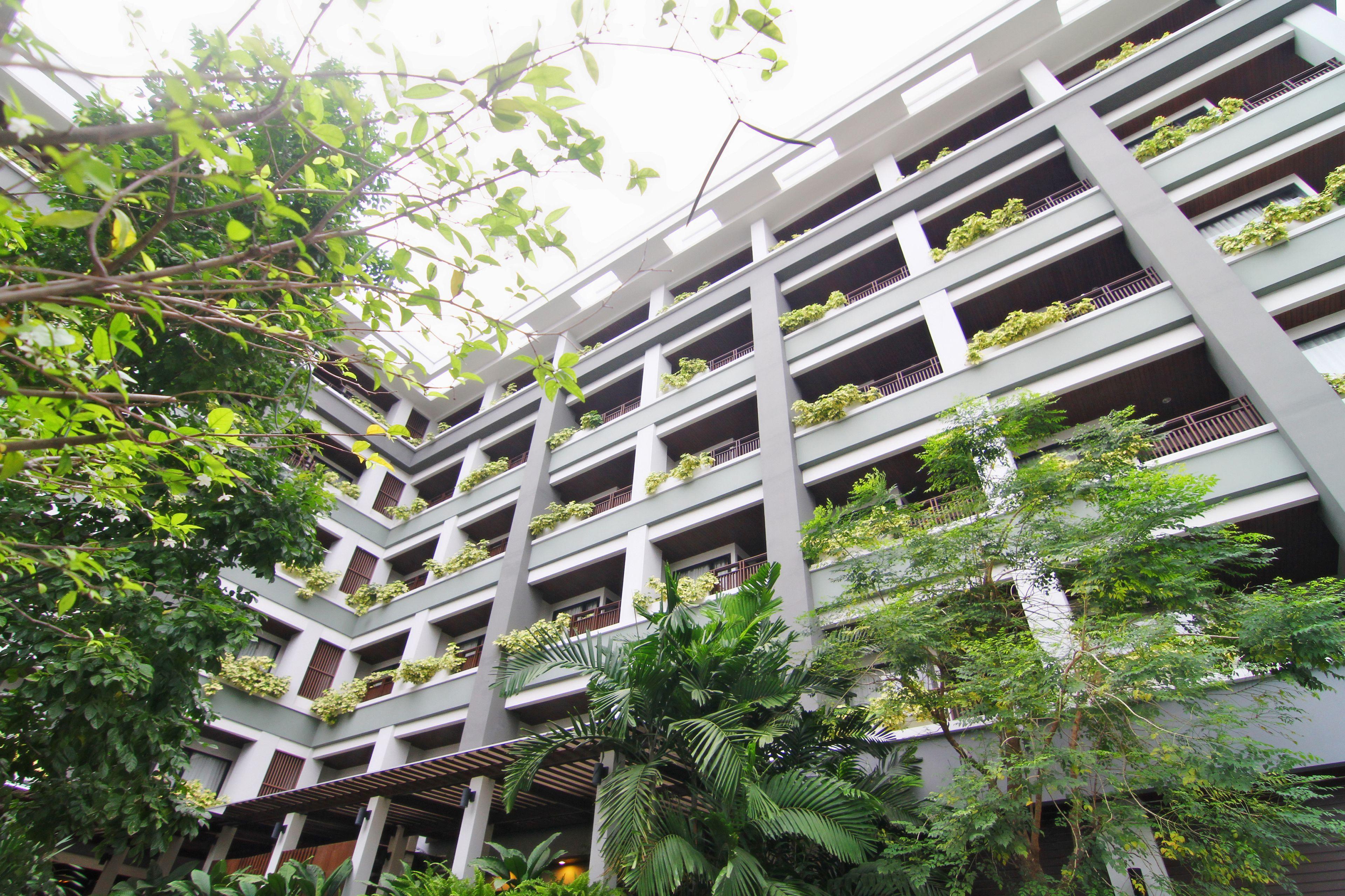 Areca Pattaya