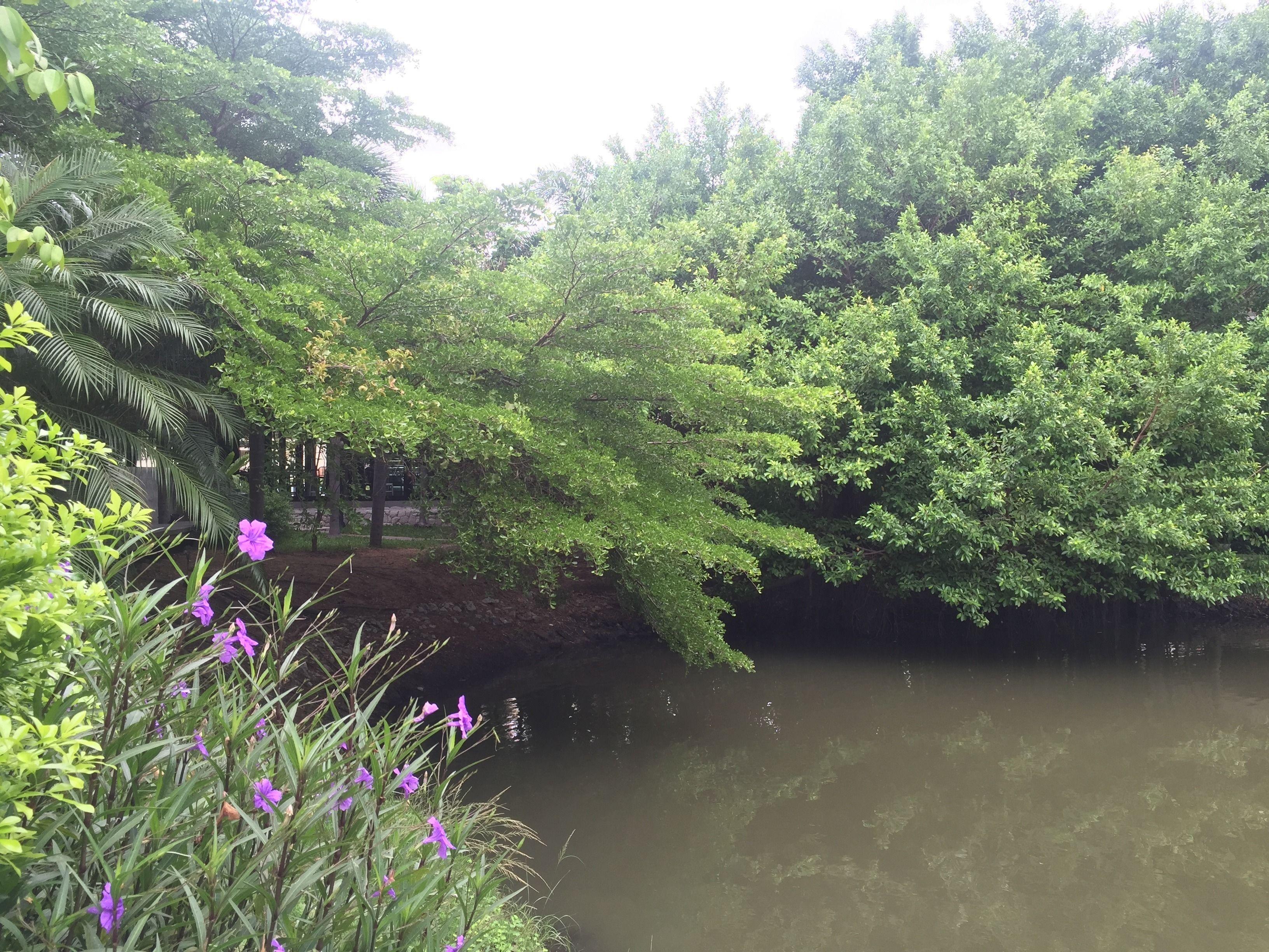 Hotel The Leela & 4*