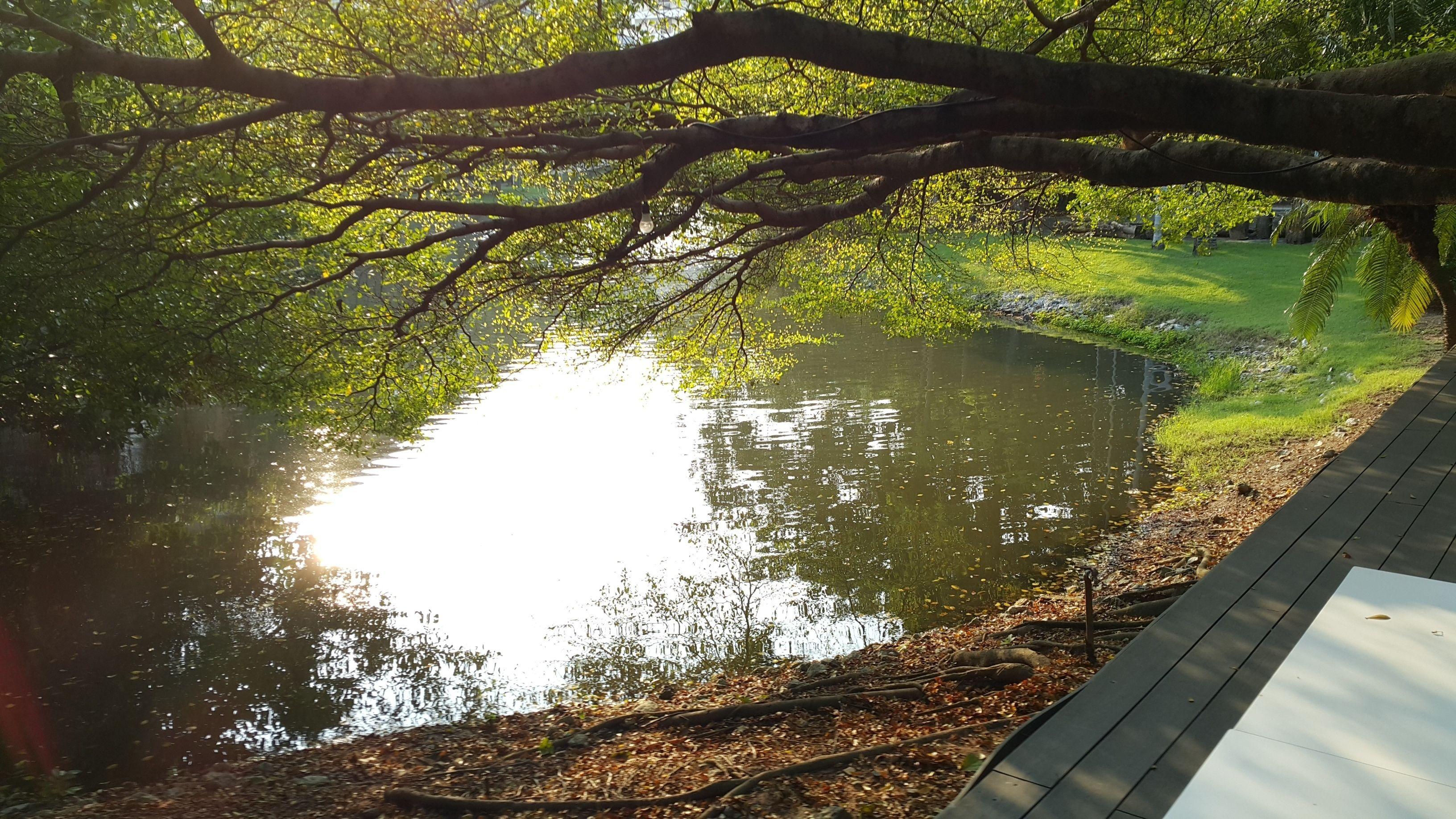 The Leela & Hotel Pattaya