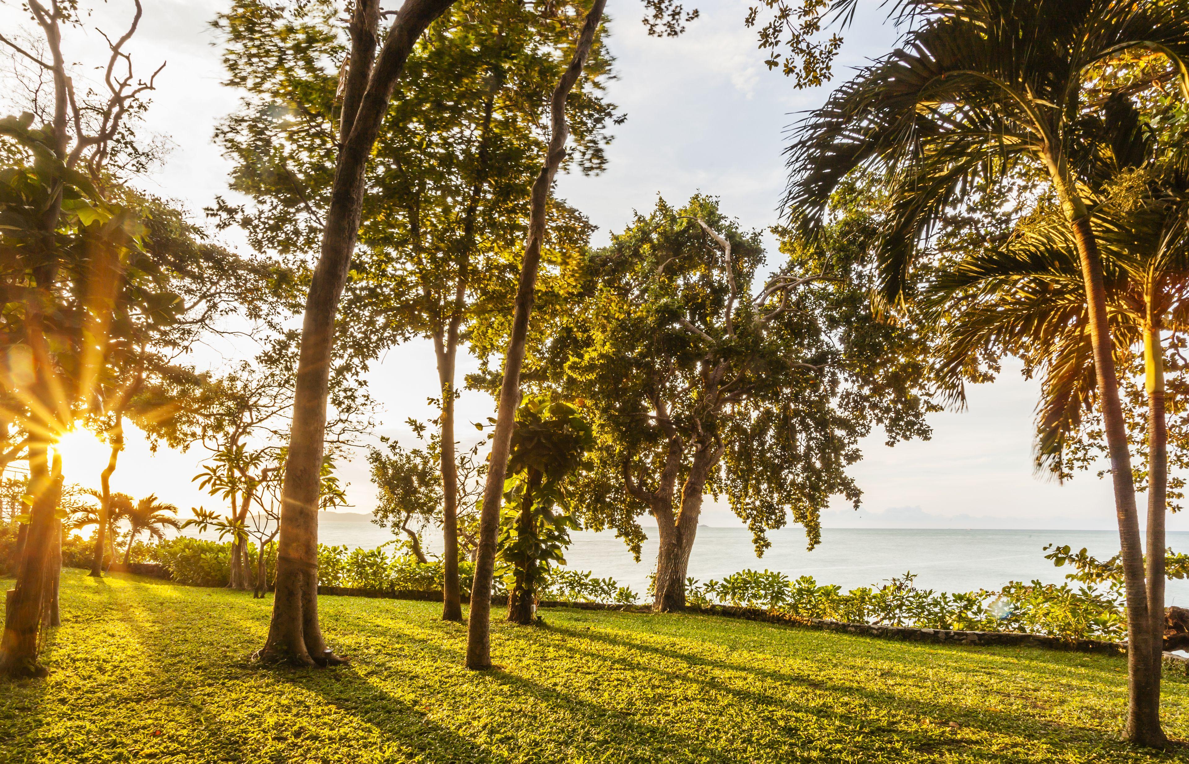 The Monttra Pattaya - Sha Extra Plus Resort 5*