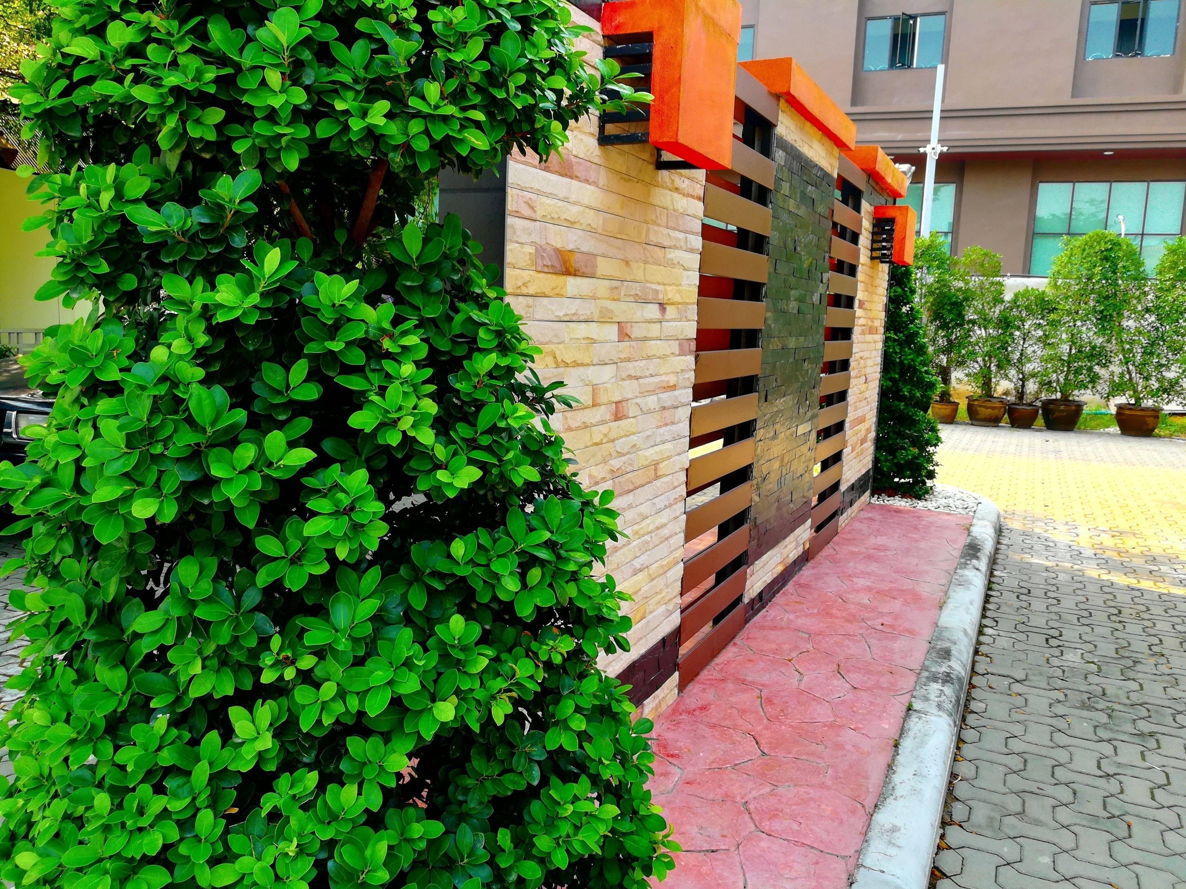 Nice Resort Pattaya Pattaya