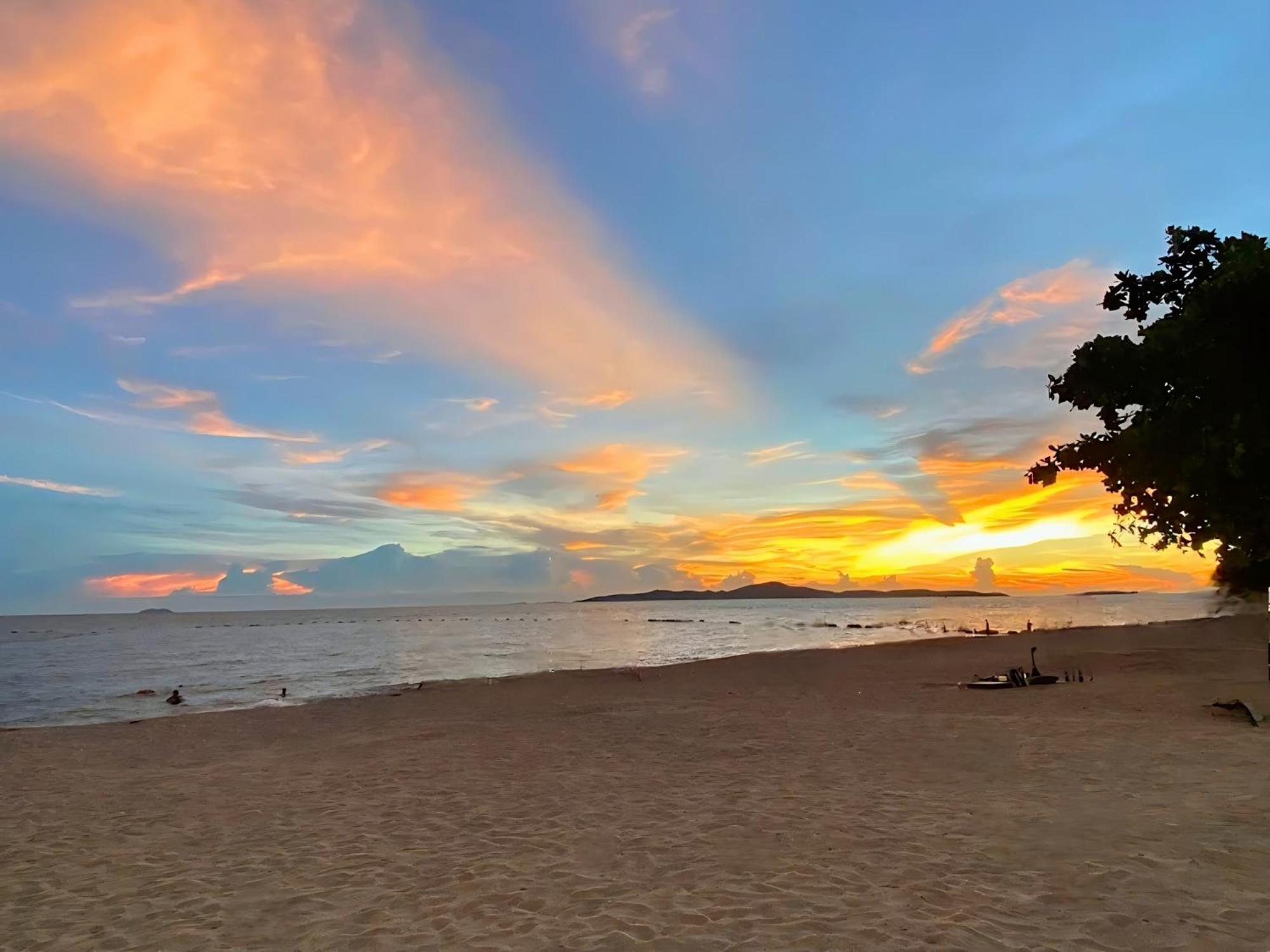 Laid Back Tropical Garden *