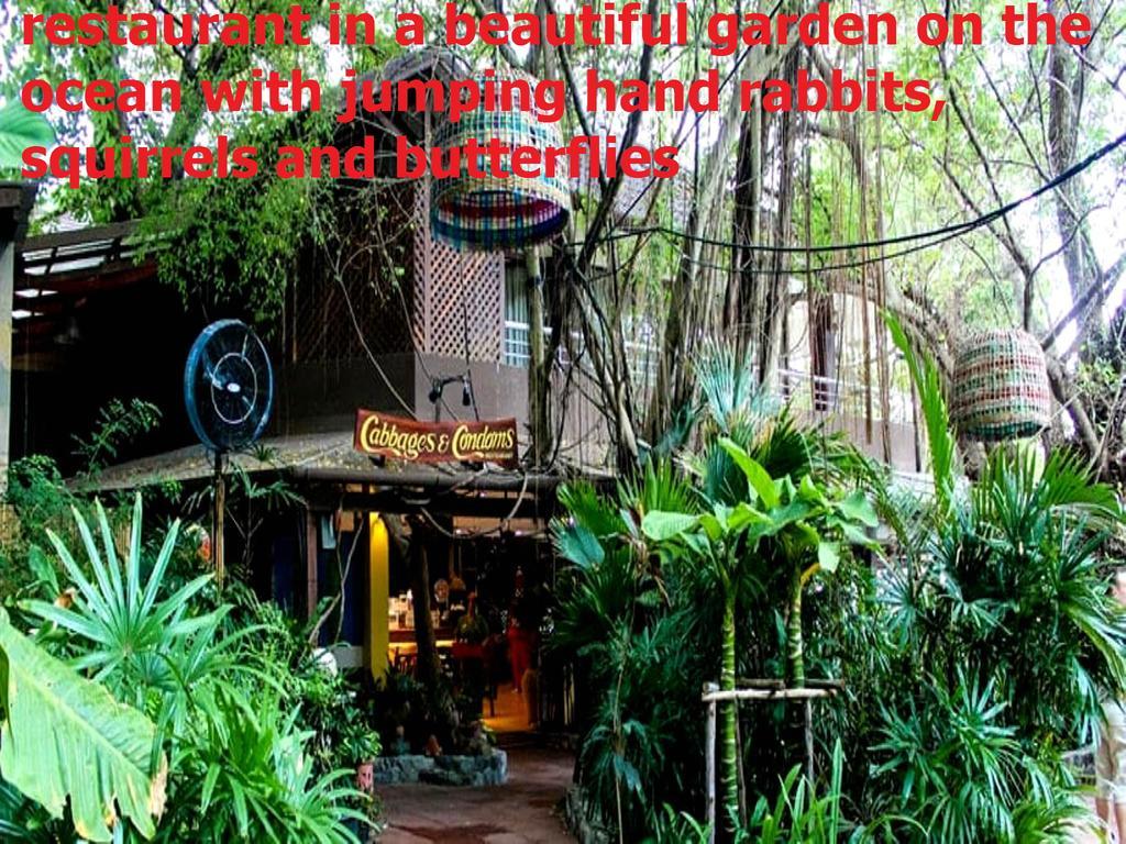 Tropical Garden