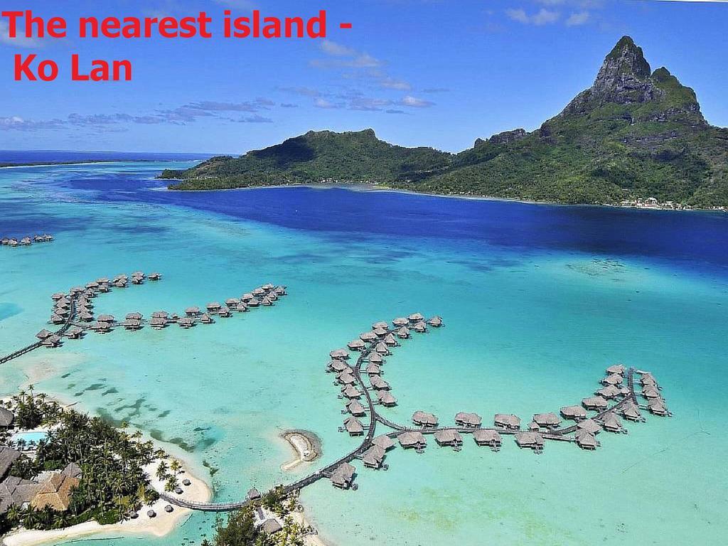 Tropical Garden Apartment