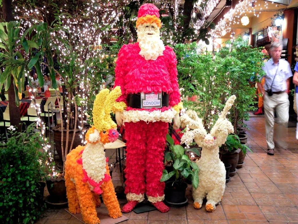Tropical Garden Apartment
