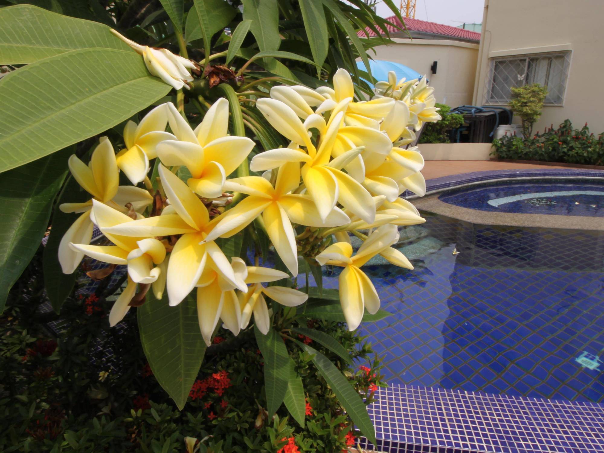 Butterfly Garden Boutique Residence: Luxury With Baths Hotel