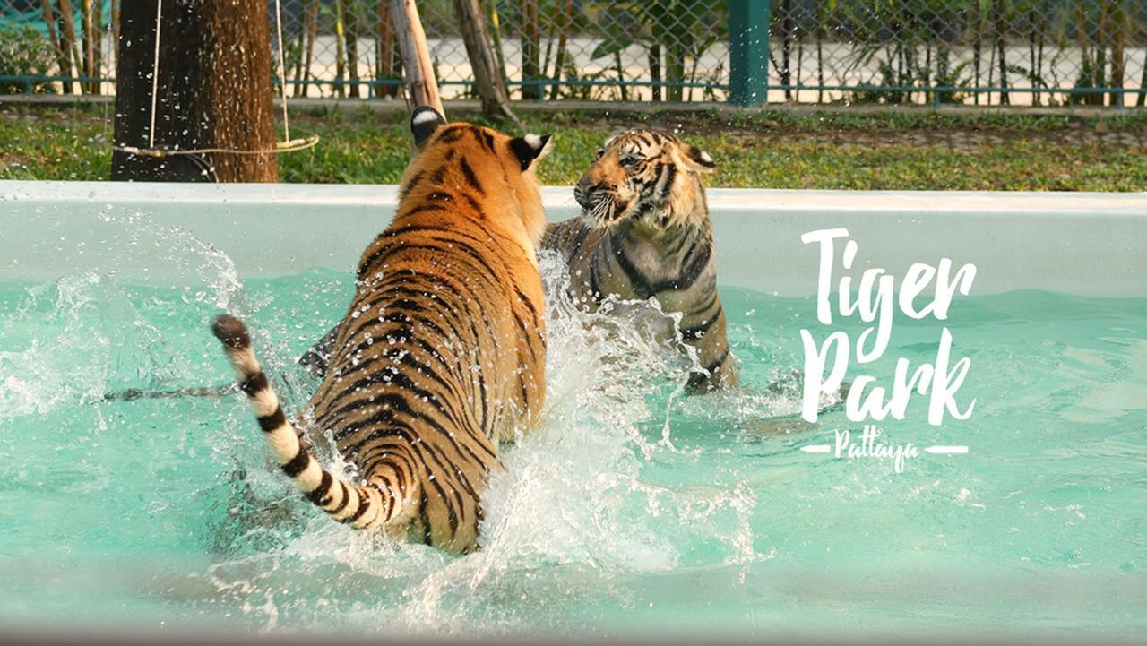 Amazing Tropical Family Thai Style Costs Included Pattaya
