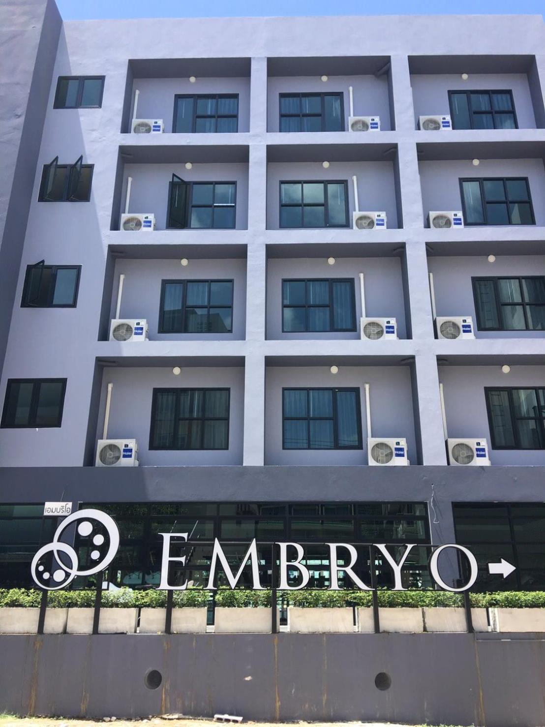 Embryo 4*