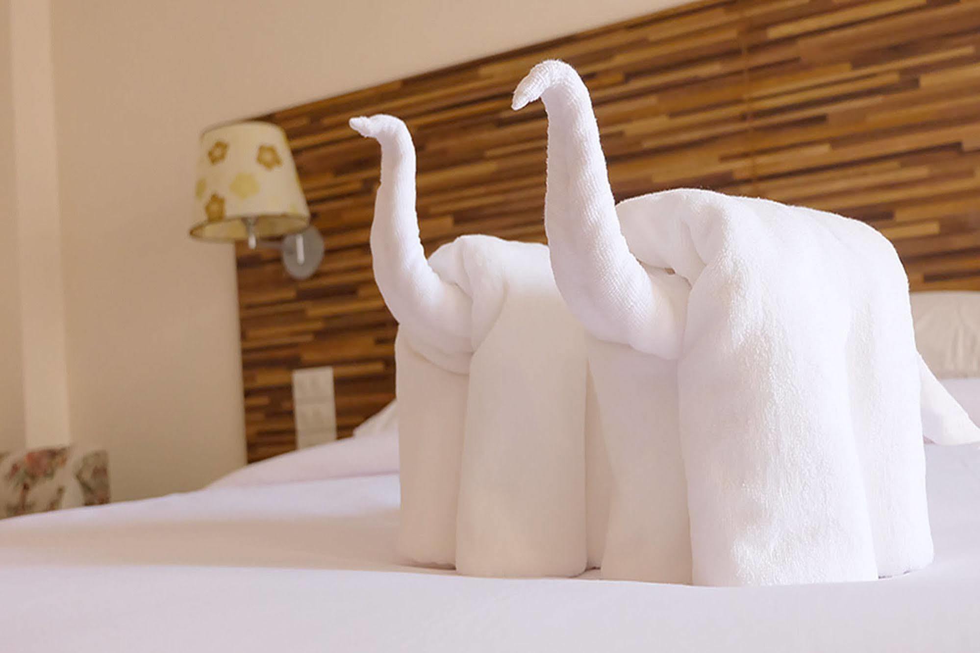 Hotel D 3*