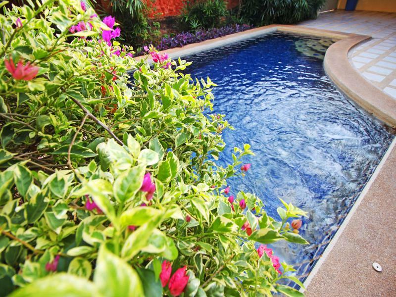 Cosy Pool By Sunny Villa