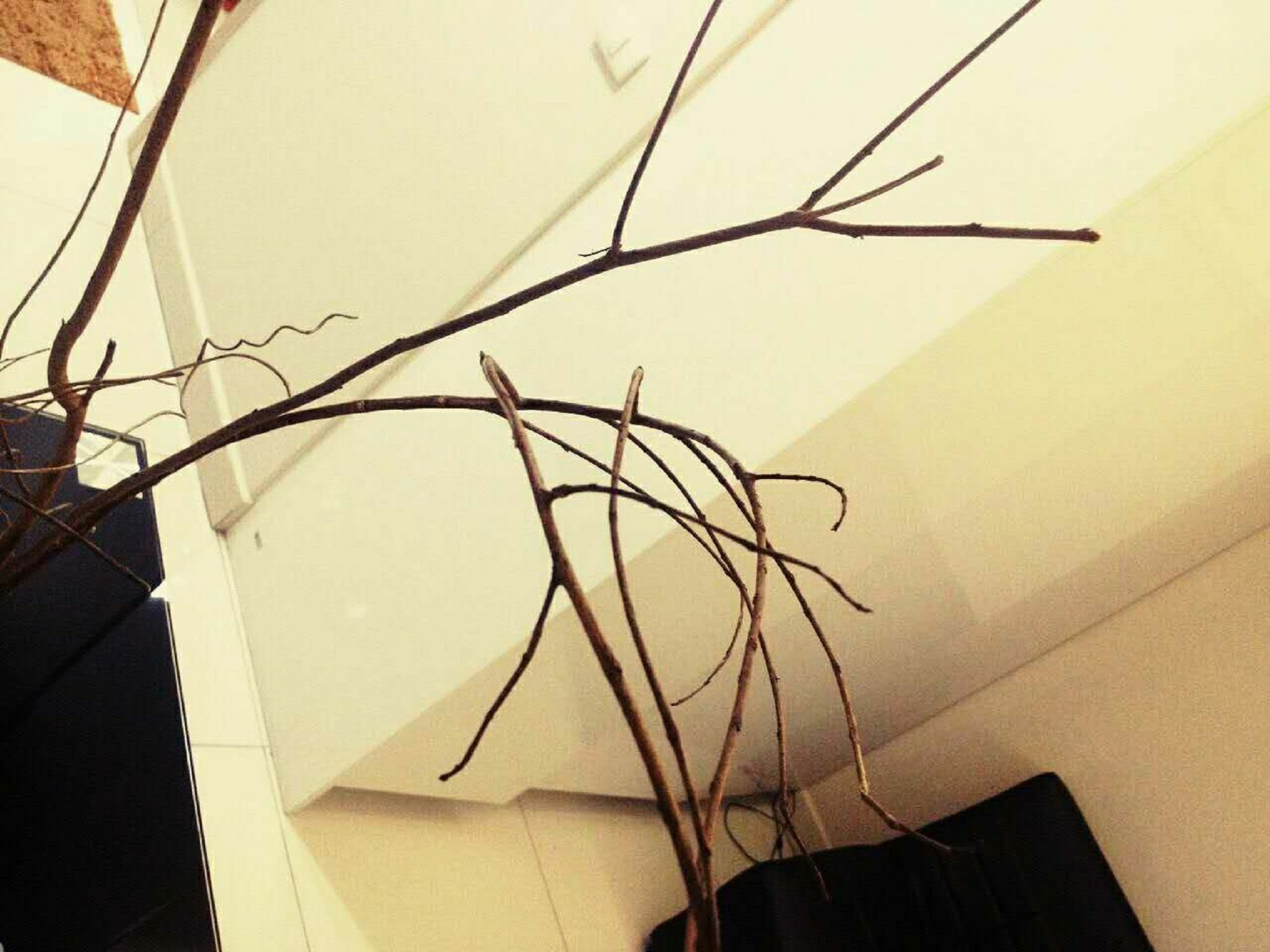 Apartment Sp Art Collection Condon Pattaya