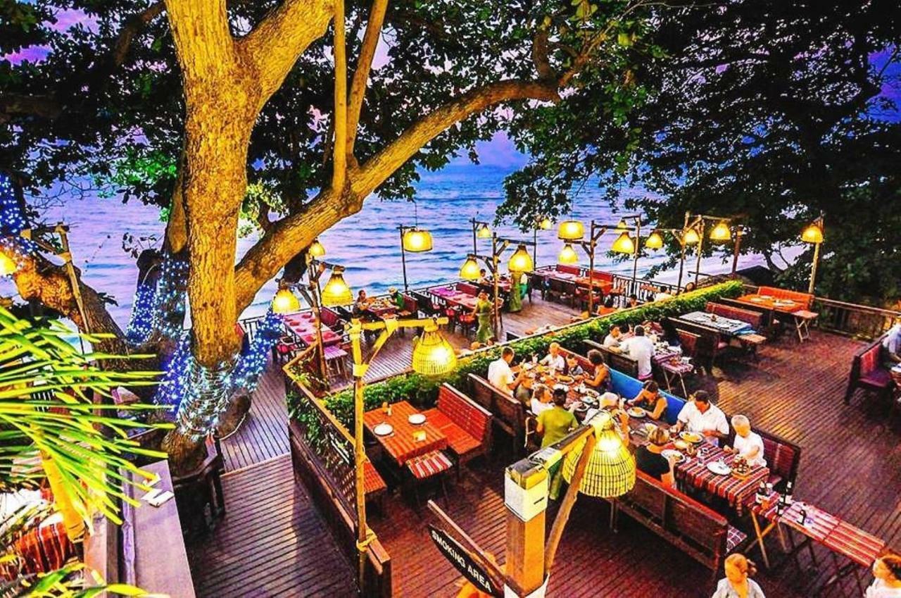 Resort Birds And Bees Pattaya