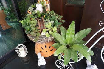 Hotel Suppamitr Pattaya