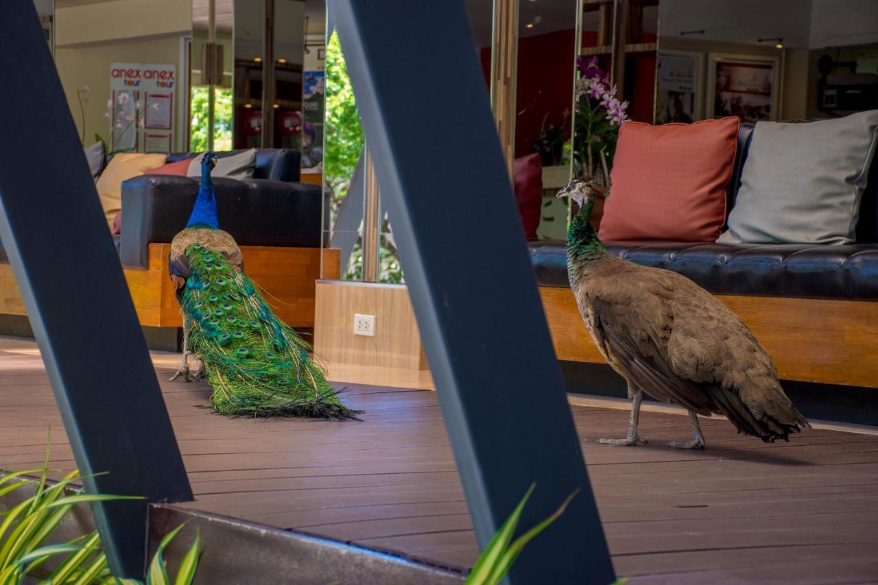 Natural Park Resort