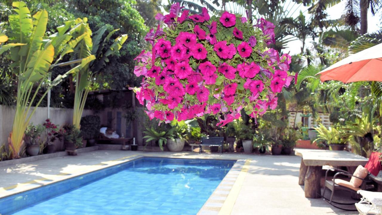Orchid Garden Beach *