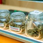 Terpenica - Rooms For Rent
