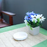 Tycoon Place Garden 3*