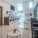 Acadia Continental South By Snap Hosting Apartment *