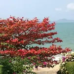 Majestic Pool * Pattaya