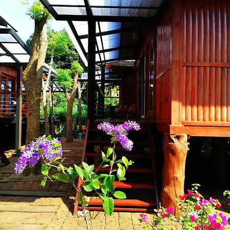 Guest house Wood House 3*
