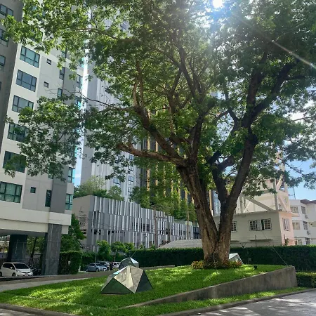 The Base Apartment