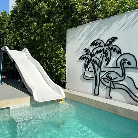 Pupae Pool