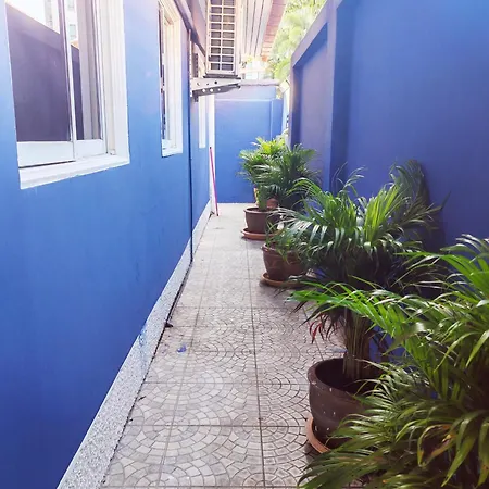 Orchid Meet Pool *