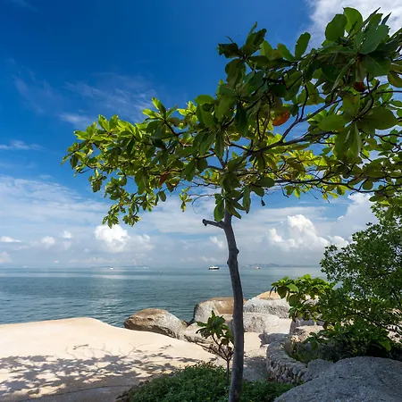 Resort Garden Sea View Pattaya