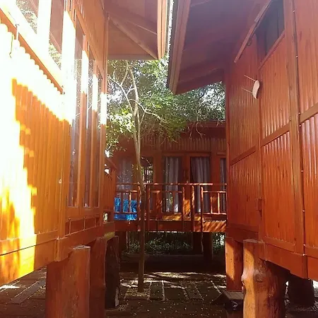Wood House