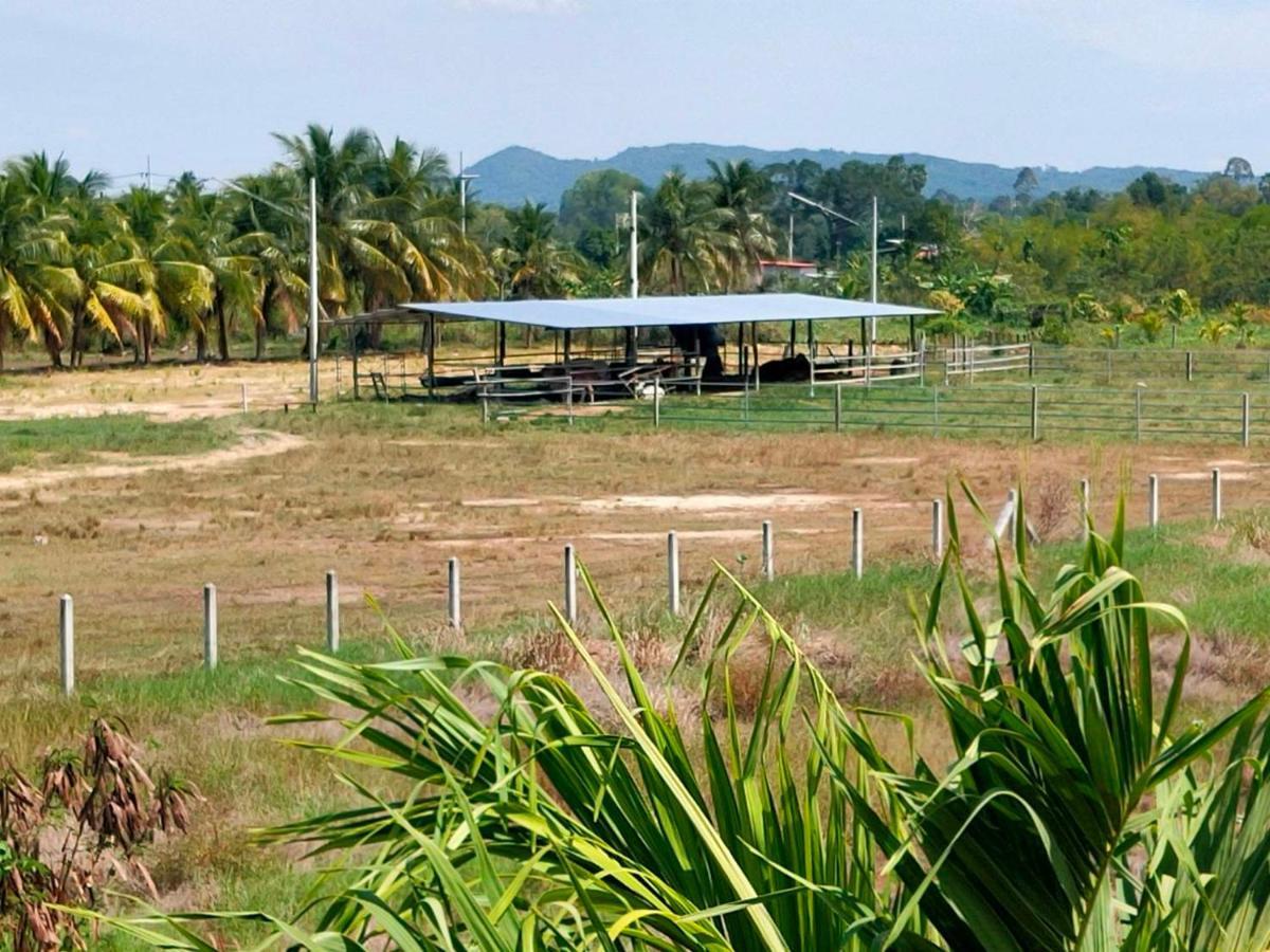 The Park Pool Villa *