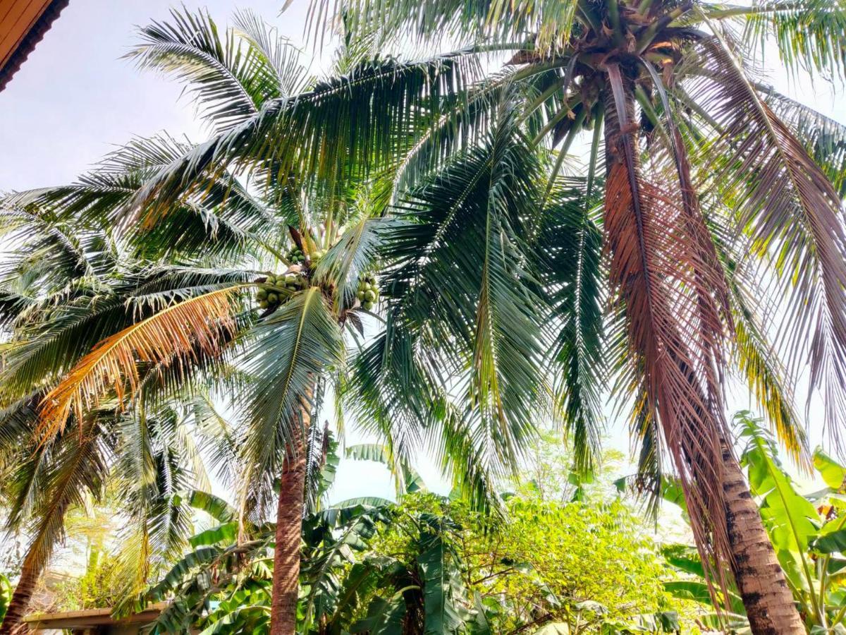 The Park Pool Villa Pattaya