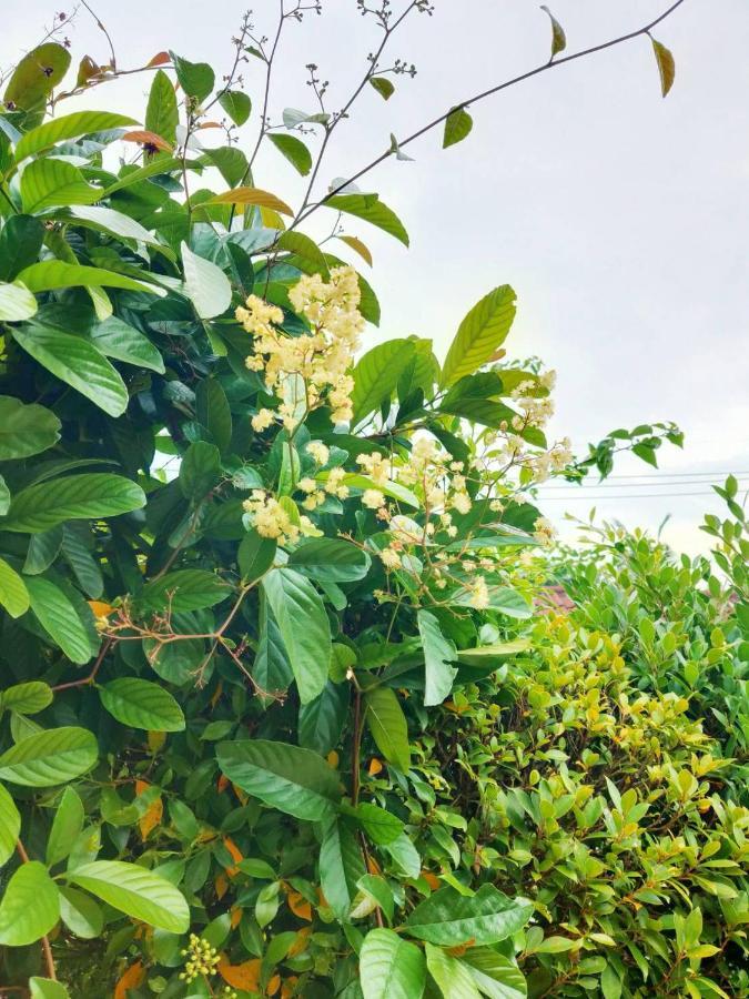 The Park Pool Villa *