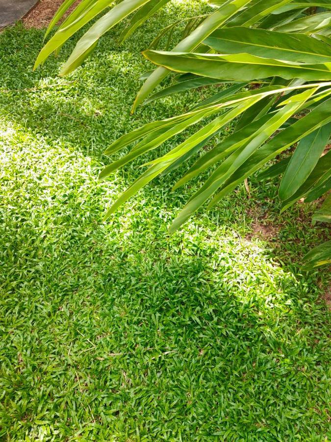 Villa The Park Pool *