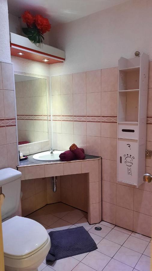 Hotel Swiss Food Restaurant And For Rent